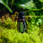 «Шинрин-Ёку» смесь эфирных масел, doTERRA Shinrin-Yoku (купание в лесу), 15 мл