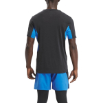 Футболка мужская Reebok CHILL ATHLETE 2.0 (Черно-Синяя)