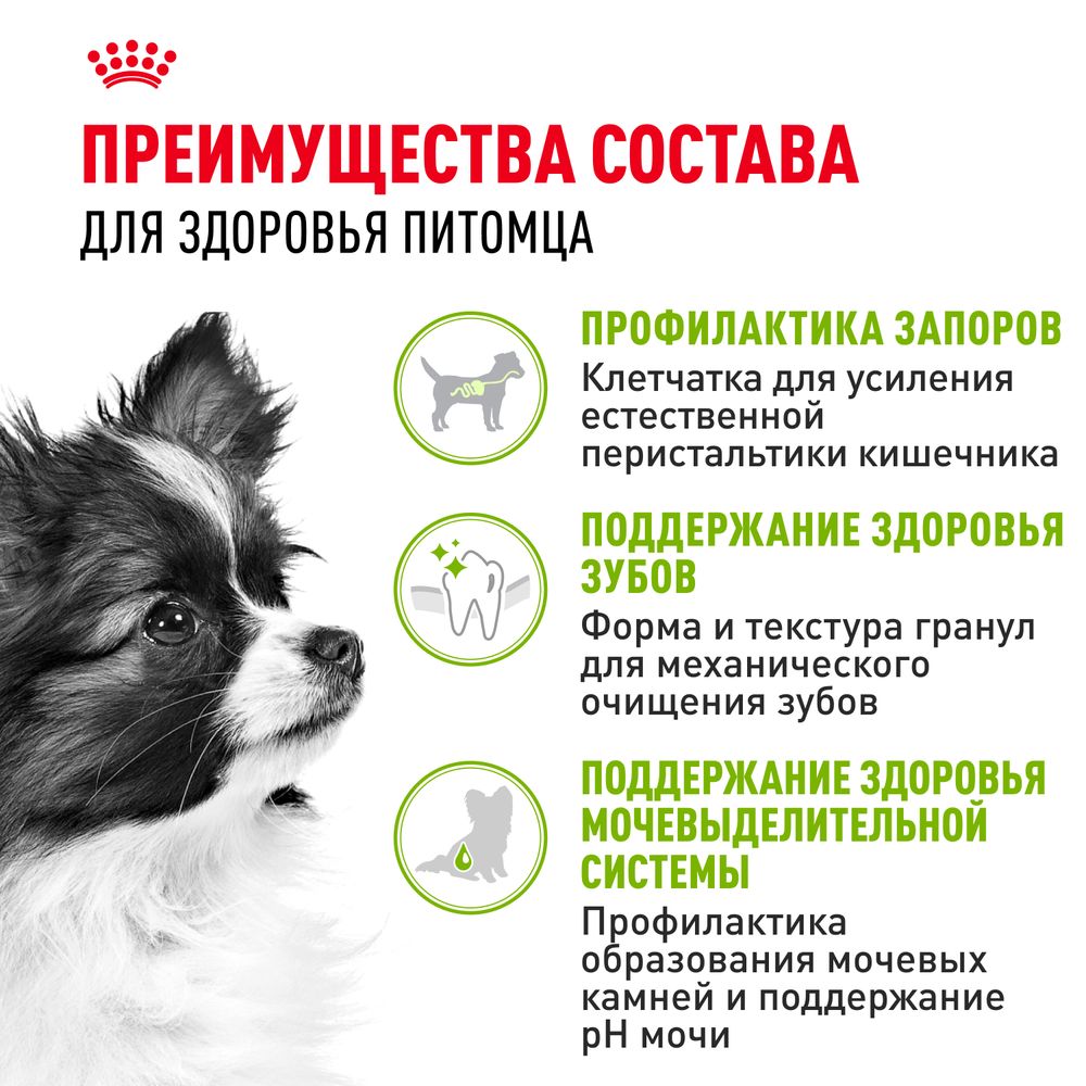 Сухой корм Royal Canin X-Small Adult для взрослых собак очень мелких размеров от 10 месяцев Сухой корм Royal Canin X-Small Adult для взрослых собак очень мелких размеров от 10 месяцев