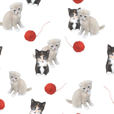 котята и клубок