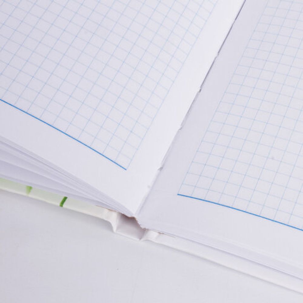 Блокнот МАЛЫЙ ФОРМАТ (110х147 мм) А6, 80 л., ламинированная обложка, выборочный лак, клетка, BRAUBERG, "Красные маки", 123243