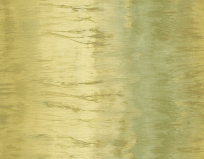 Обои Carl Robinson Edition 2 24404 CB