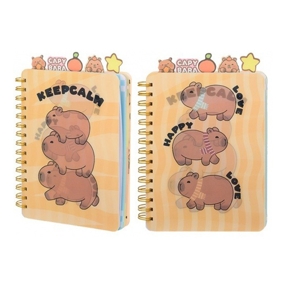 Блокнот Basir с разделителями, формат А5, серия "Капибара", прозрачная обложка, 21*16 см, 120 листов, ассорти