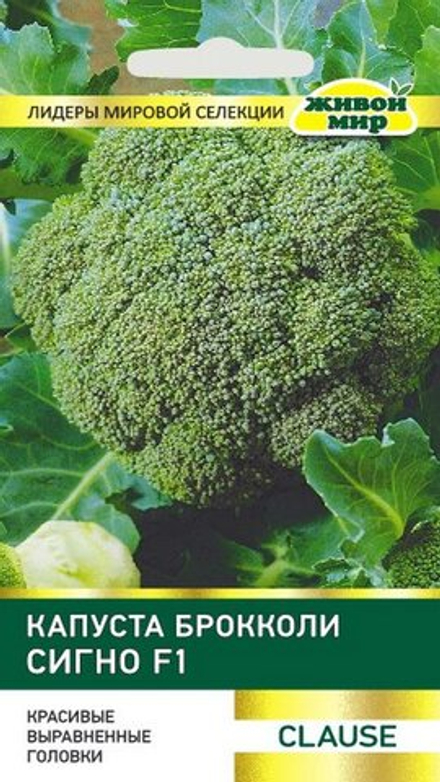 Капуста брокколи "ЖМ. Сигнo F1" 1г., Франция.