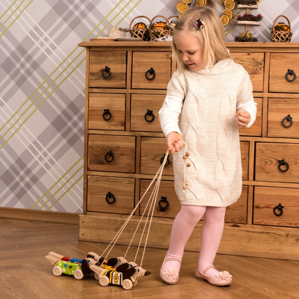 Деревянная каталка Таксик Леснушки