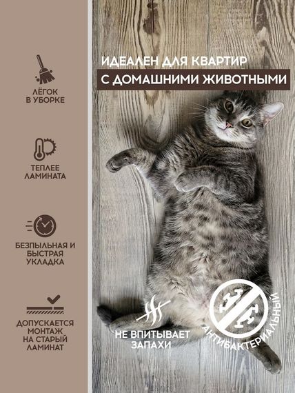 SPC ламинат I-Floors Chamfer 4v - Дуб Таёжный