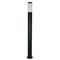 Уличный светильник Arte Lamp Salire A3157PA-1BK