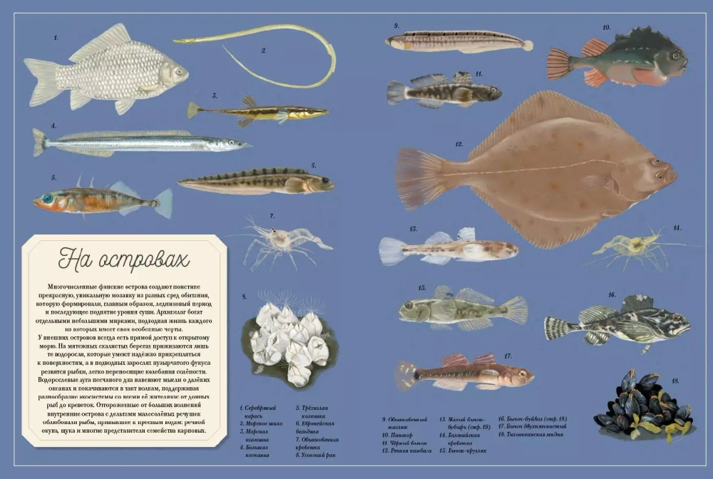 Муми-тролли на рыбалке. По мотивам рассказов Туве Янссон