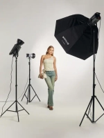 Осветитель светодиодный Raylab RL-300PRO 2700-6500K с пультом