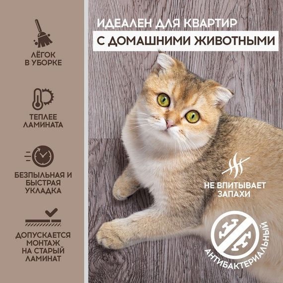 SPC ламинат I-Floors Basic - Дуб Мирамаре