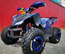 Квадроцикл MOTOLAND (МОТОЛЕНД) 125 COYOTE PRO