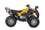 Квадроцикл RAPTOR Max Pro 250 (жёлтый/чёрный) (2024)