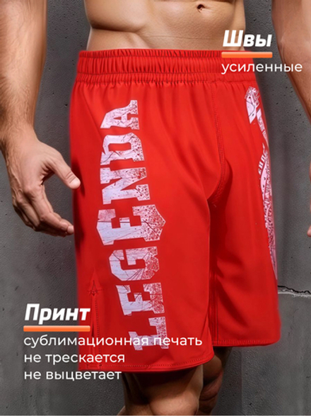 Шорты спортивные тренировочные LEGENDA Щит и Меч красный