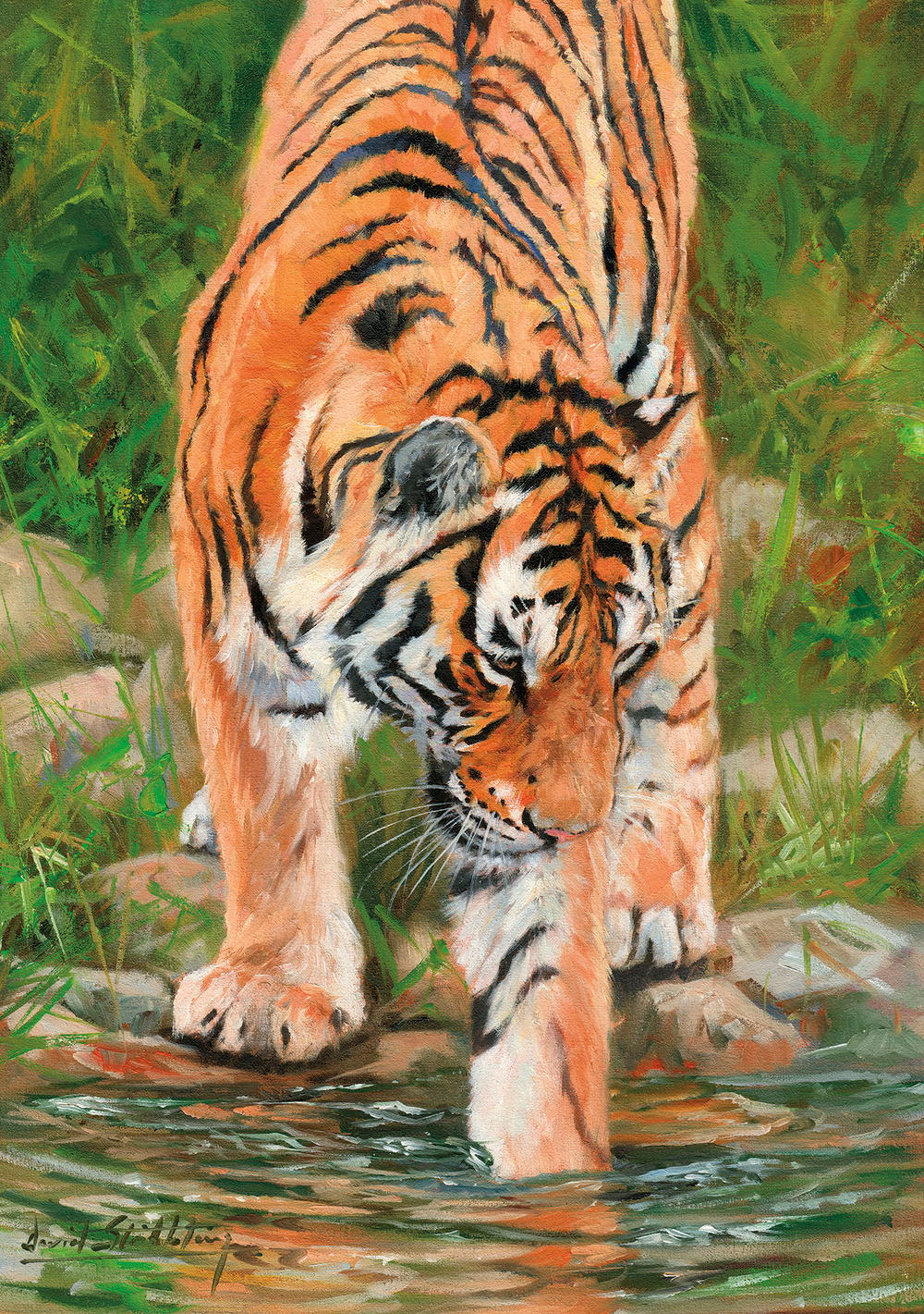 Коллекция Животные