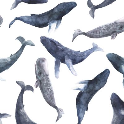 Акварельные киты