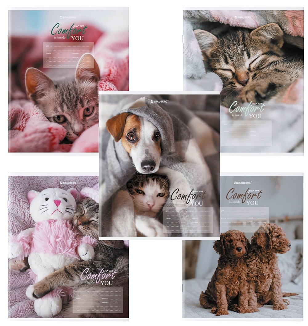 Тетрадь А5 24л. клет. "Питомцы" обложка картон (BRAUBERG)