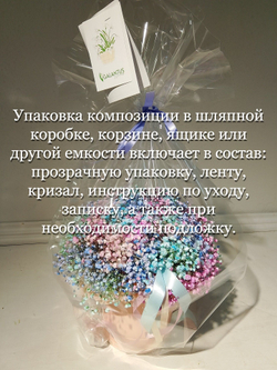 Трендовая гипсофила в разноцветной гамме (КМ0001)