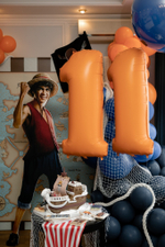 One Piece Party