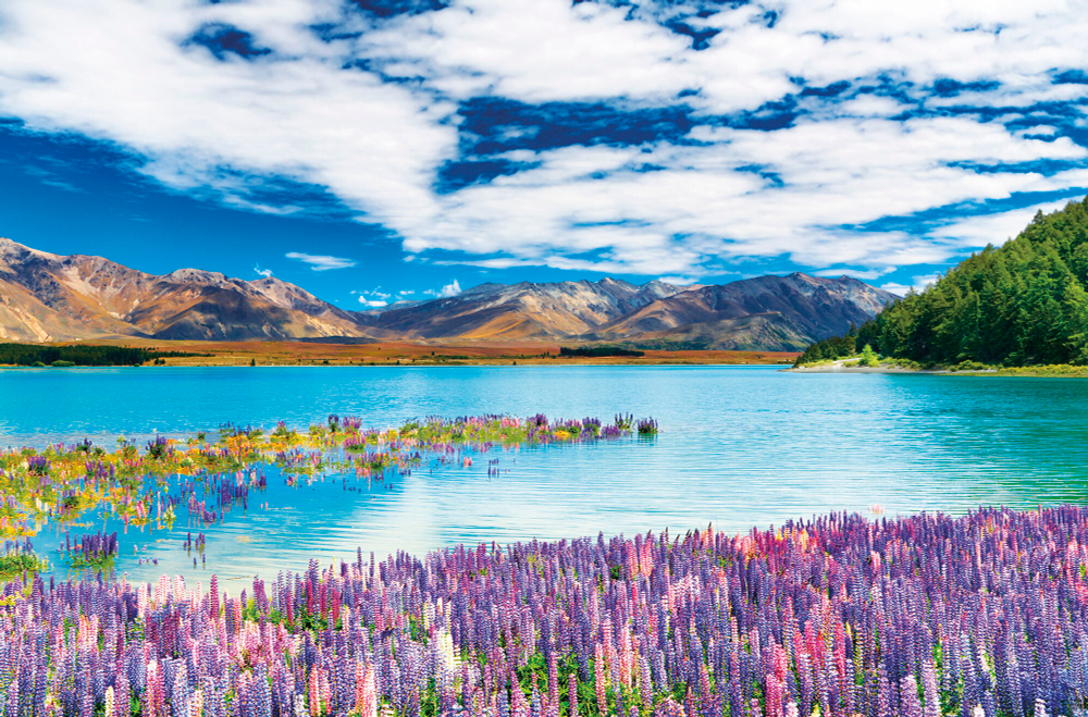 Коллекция Пейзаж