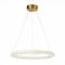 Подвесной светодиодный светильник ST Luce Lucchero SL6105.203.01