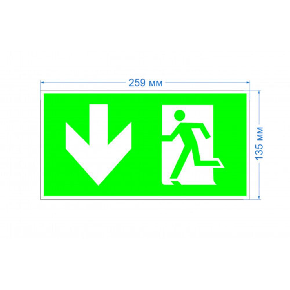 Самоклеящаяся этикетка ЭРА INFO-SSA-118 пленка бэклит Человек-стрелка-вниз зеленая для SSA-103 | АВАРИЙНОЕ ОСВЕЩЕНИЕ