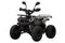 Квадроцикл UNIVERSAL ATV 125 TM Classic