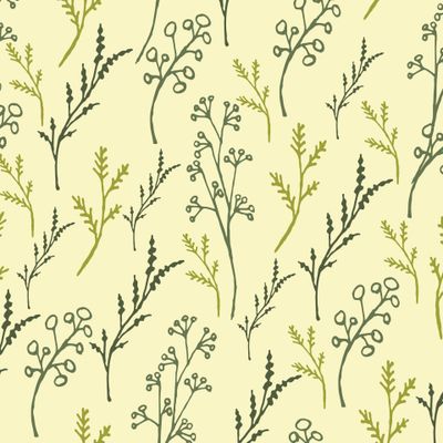 Полевые цветы