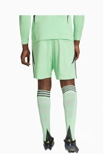 Шорты adidas Tiro 24 Training - бирюзовый