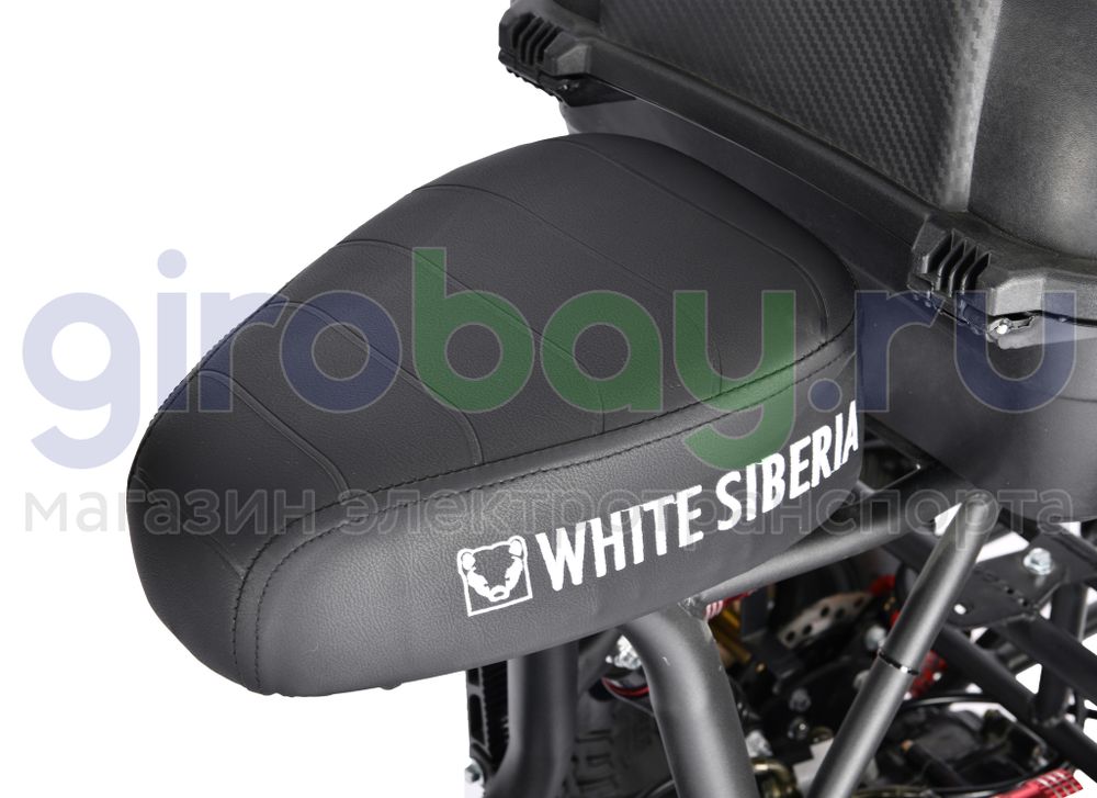 Электроскутер WHITE SIBERIA TRIKE MINI 1500W - Черный фото 15 фото №17