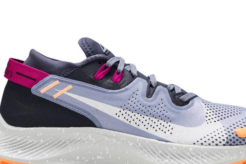 Кроссовки Nike Pegasus Trail 2 (Женская размерная сетка)