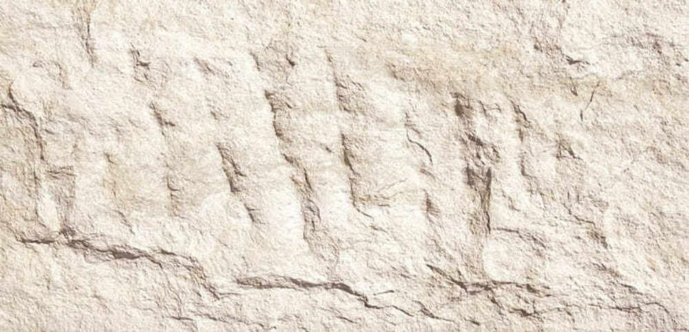 Гибкая керамика PHOMI, коллекция DEVINE MUSHROOM STONE