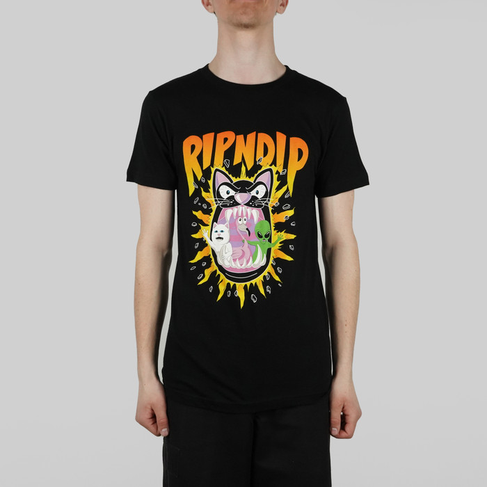 Футболка мужская Ripndip Hellavanight Tee артикул:RND7069 - купить в магазине Дайс