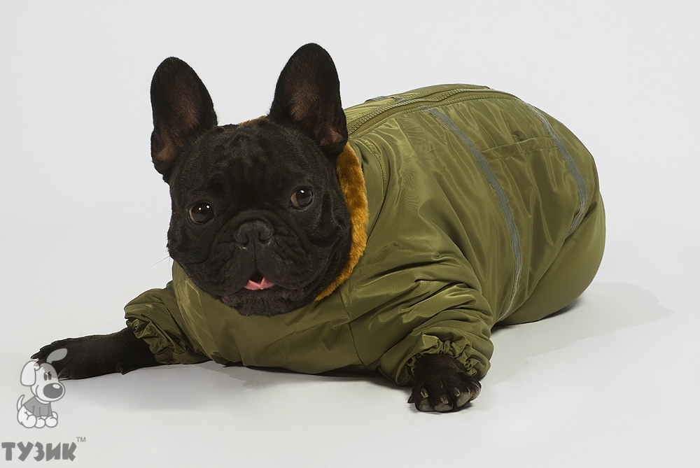 ТУЗИК Комбинезон для собак "Север-1"