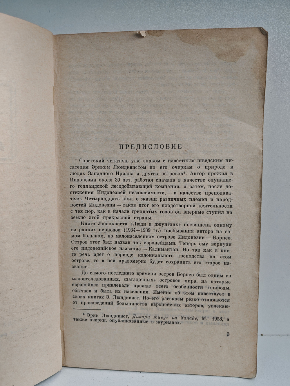 Люди в джунглях