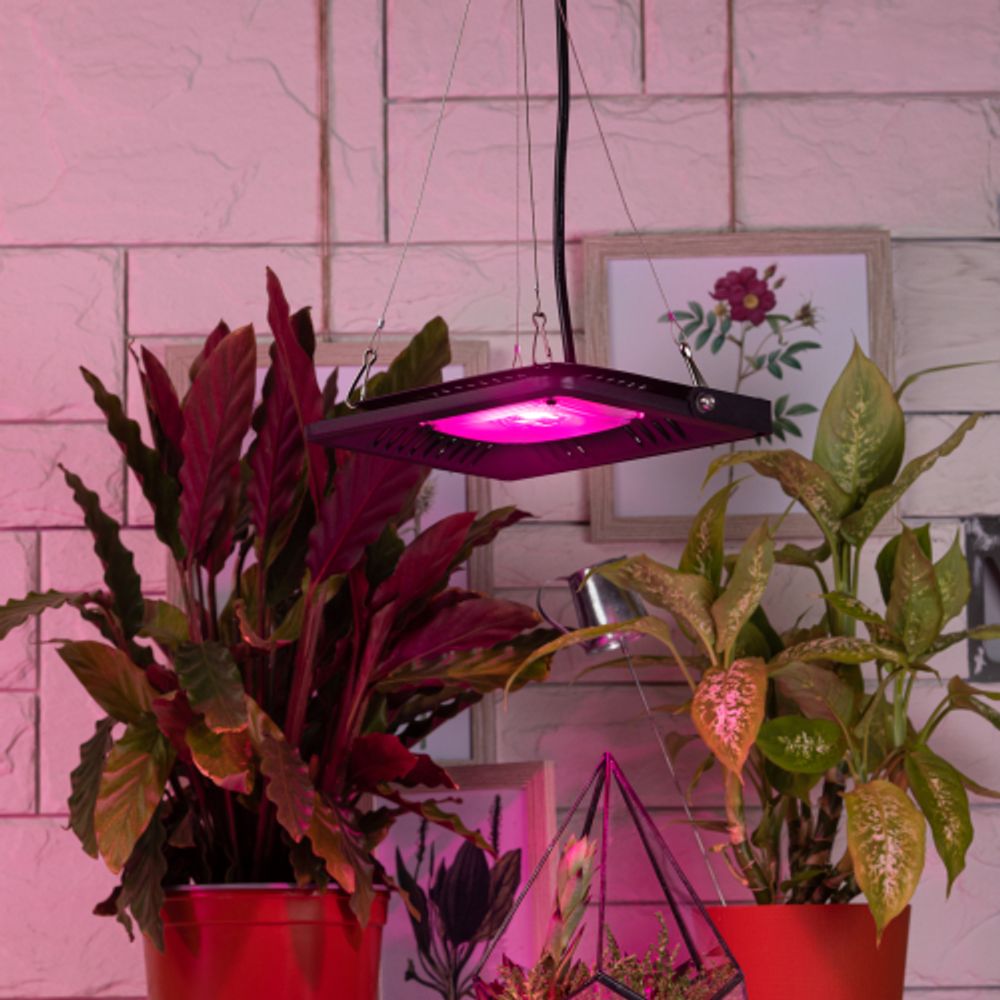 Кронштейн для ламп и светильников ЭРА FITO-сabel-rope металлический подвес