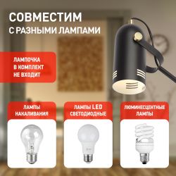 Настольный светильник ЭРА N-117-Е27-40W-BK черный