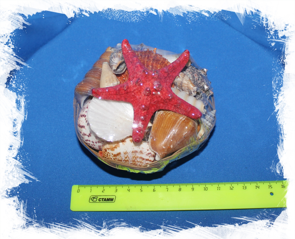 Набор ракушек в корзинке 10 см