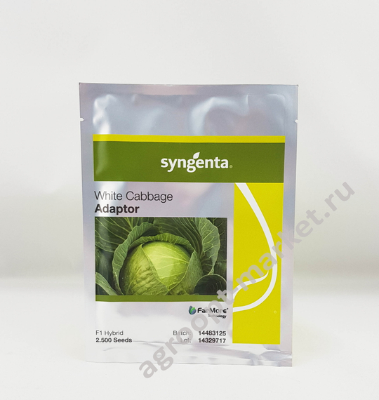 Адаптор F1 семена капусты белокочанной (Syngenta / Сингента) – фото 2
