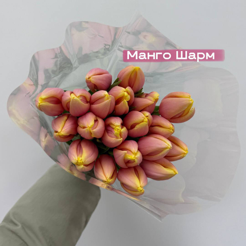 Тюльпаны розовые Манго шарм 1шт поштучно