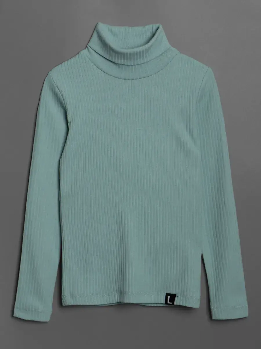 Водолазка для мальчика на осень школьная