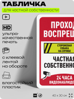 Табличка для частной территории "Проход воспрещен, частная собственность", на дом, для участка, организаций, предупреждающая, 40х30 см, Silver Plane x Айдентика Технолоджи