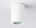Накладной светильник Ambrella Light TN TN22797