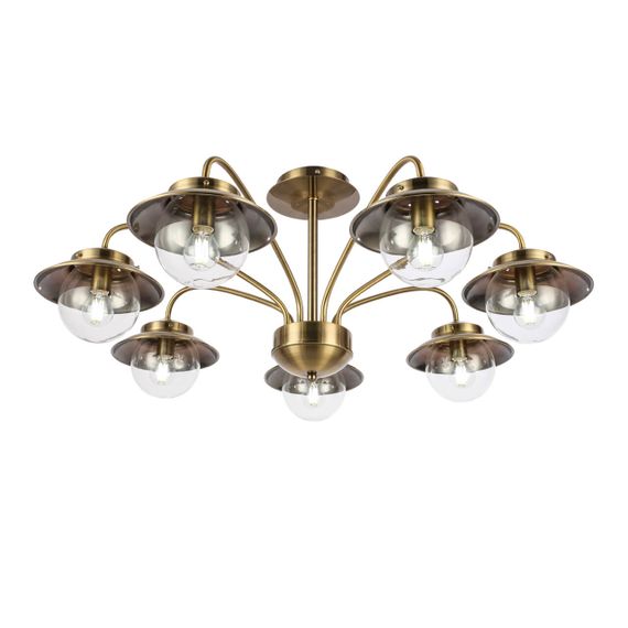 Потолочная люстра Evoluce Garonni SLE110102-07