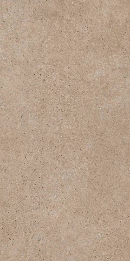 PANGEA TIERRA 60X120 REC.