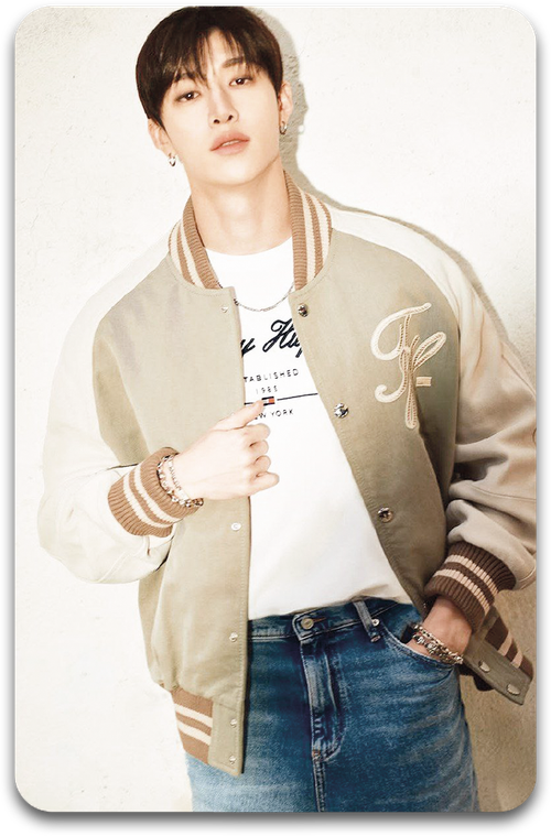 Карта / STRAY KIDS #2520