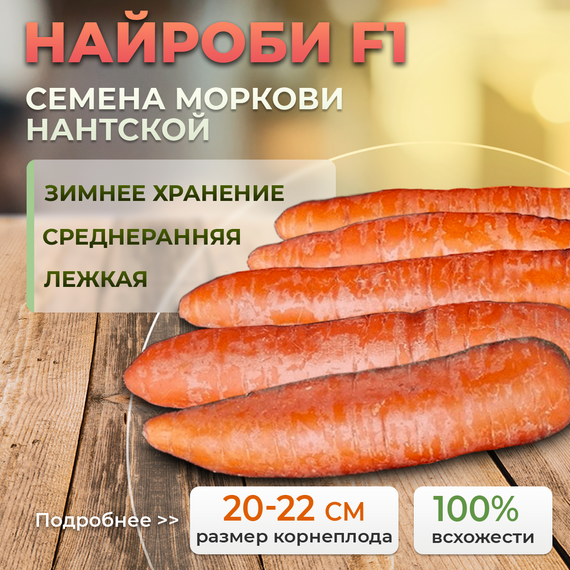 НАЙРОБИ_F1_семена_моркови_Bejo_Alexagro_семена_моркови