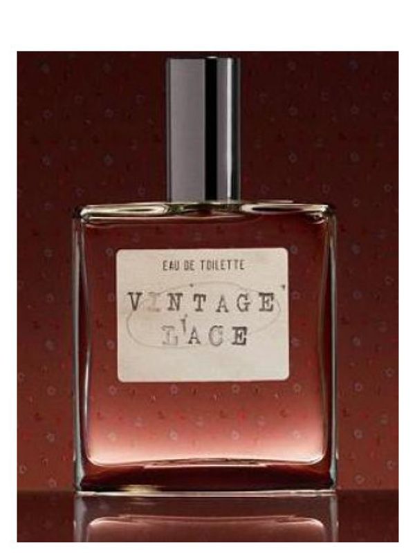 American Eagle Vintage Lace