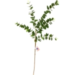 Цветок искусственный «Natur» 95см Ветка эвкалипта ярко-зеленая