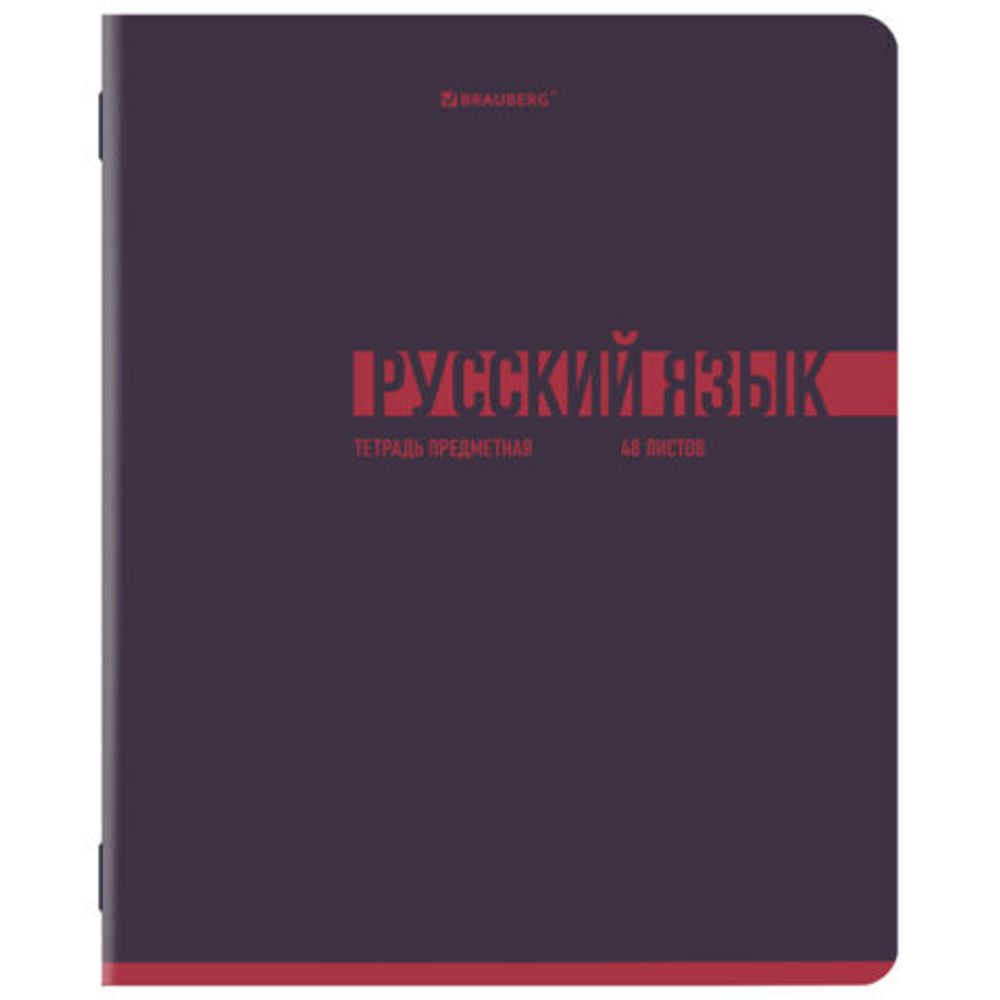 Тетради предметные, КОМПЛЕКТ 12 ПРЕДМЕТОВ, 48 л., обложка картон, BRAUBERG "VIBE", 405163
