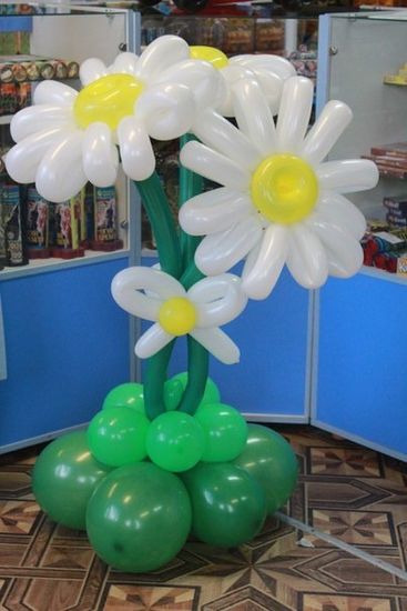 Ромашки большие